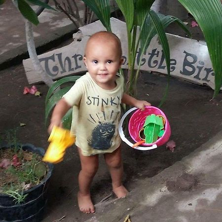 Three Little Birds Homestay Gili Trawangan Exteriör bild