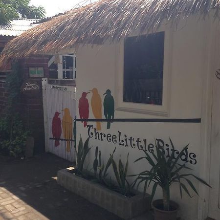 Three Little Birds Homestay Gili Trawangan Exteriör bild