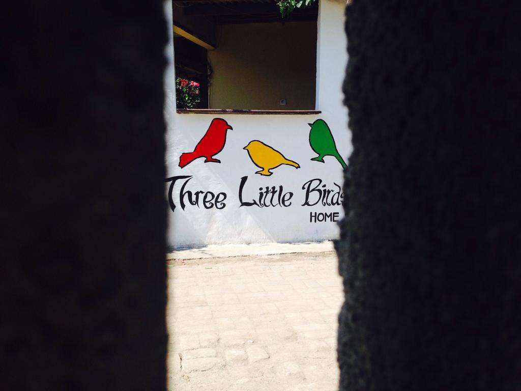 Three Little Birds Homestay Gili Trawangan Exteriör bild