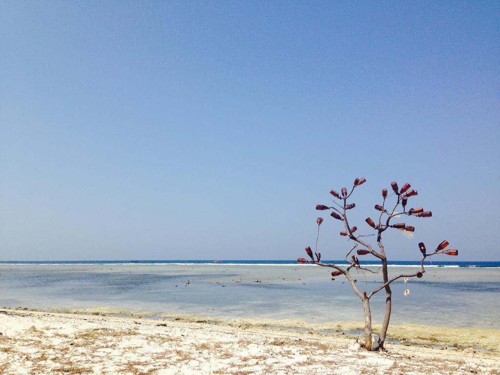 Three Little Birds Homestay Gili Trawangan Exteriör bild