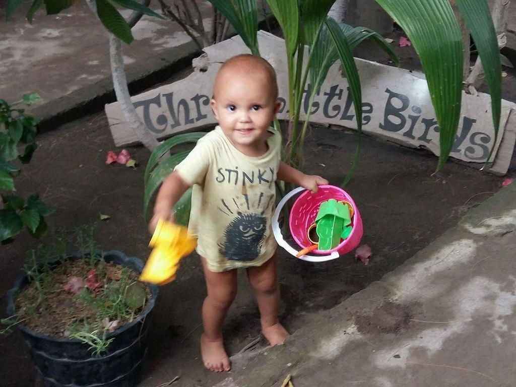 Three Little Birds Homestay Gili Trawangan Exteriör bild