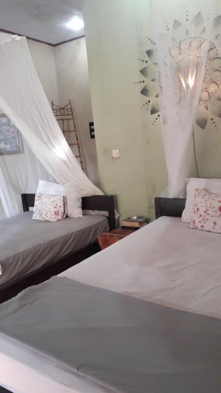 Three Little Birds Homestay Gili Trawangan Exteriör bild